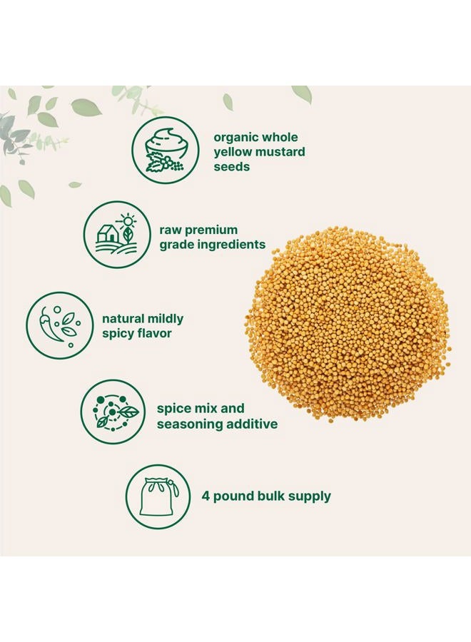 Micro Ingredients بذور الخردل الأصفر العضوي الكاملة، 4 رطل (64 أونصة) | بذور من الدرجة الممتازة | نكهة خردل خفيفة وطبيعية | رائعة للتخليل، خلطات التوابل والتتبيل | غير معدلة وراثيًا، إمدادات بالجملة - Image 4